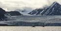 To kajakker med gjester som padler på en fjord i forgrunnen, med en stor isbre og fjell i bakgrunnen