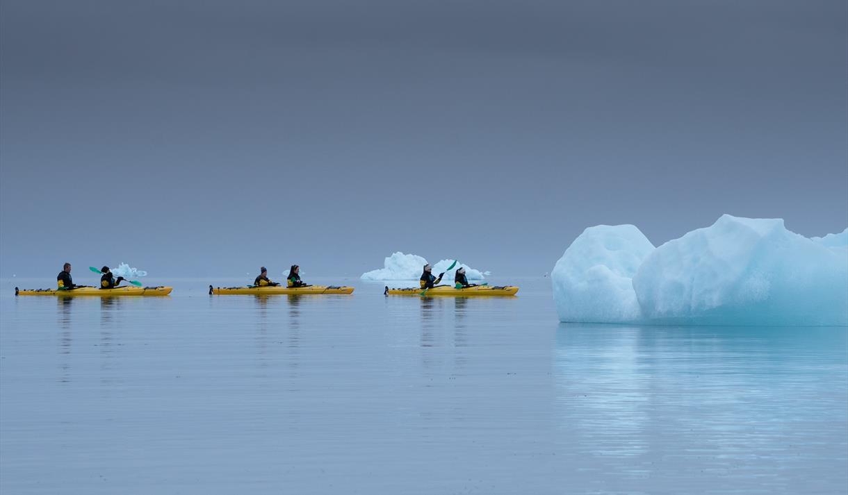 Tre kajakker med gjester som padler forbi flytende isberg i sjøen rundt de