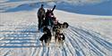 happy guests waving their hands during a dogsledding trip