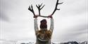 A person lifting a reindeer antler into the air