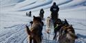 three dog-sledges on the move towards the icecave