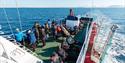 Gjester som nyter utsikten på toppdekket ombord MS Billefjord