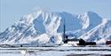 To Svalbardreinsdyr som vandrer forbi i forgrunnen med Isfjord Radio og snødekte fjellmassiv i bakgrunnen.