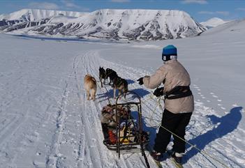 A person skiing next to a small dog sled with three dogs, going down the valley. In the background there are snow-covered mountains and a blue sky.