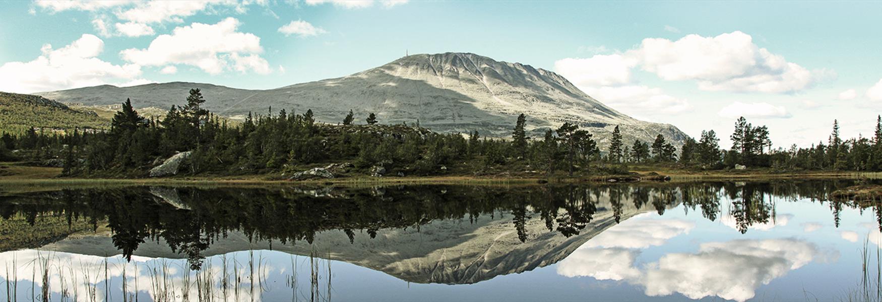 Mount Gausta in summer