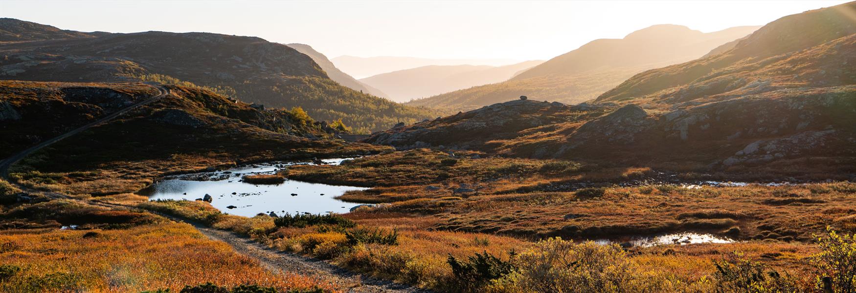 høst på Hardangervidda