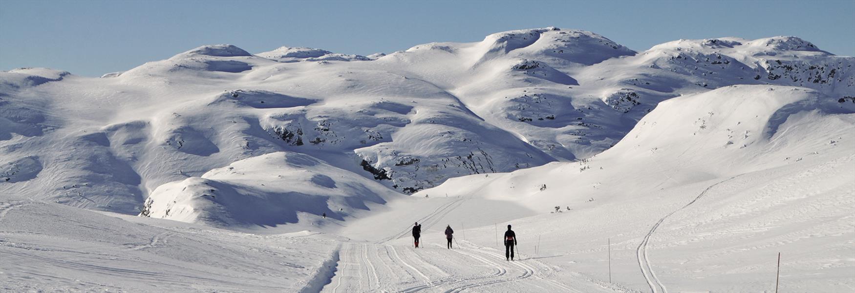 Langrenn på Lifjell