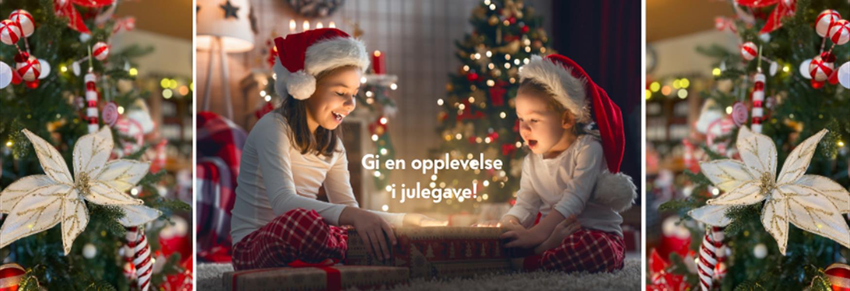 julegavetips