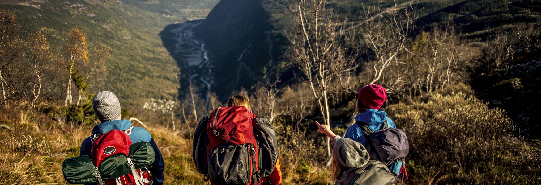 Utsikt over Vestfjorddalen