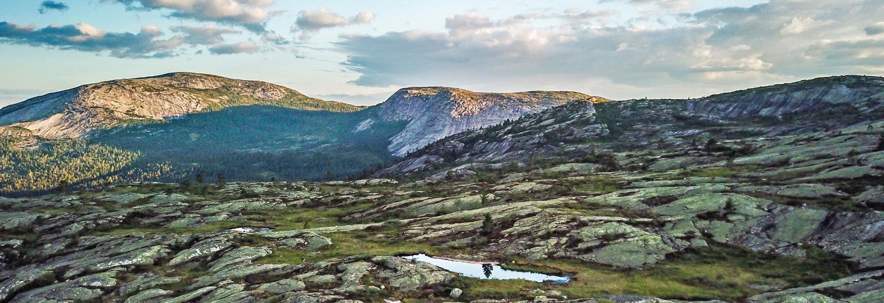 Hægefjell i Vrådal