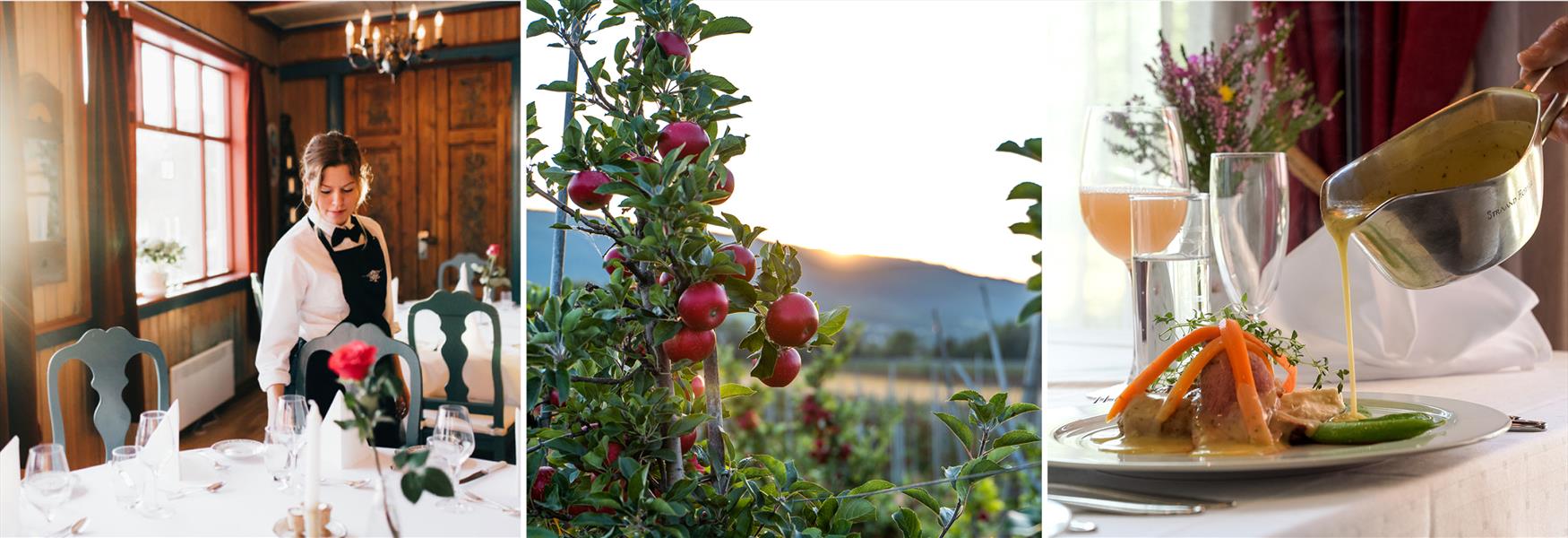 photo collage culinary journey autumn