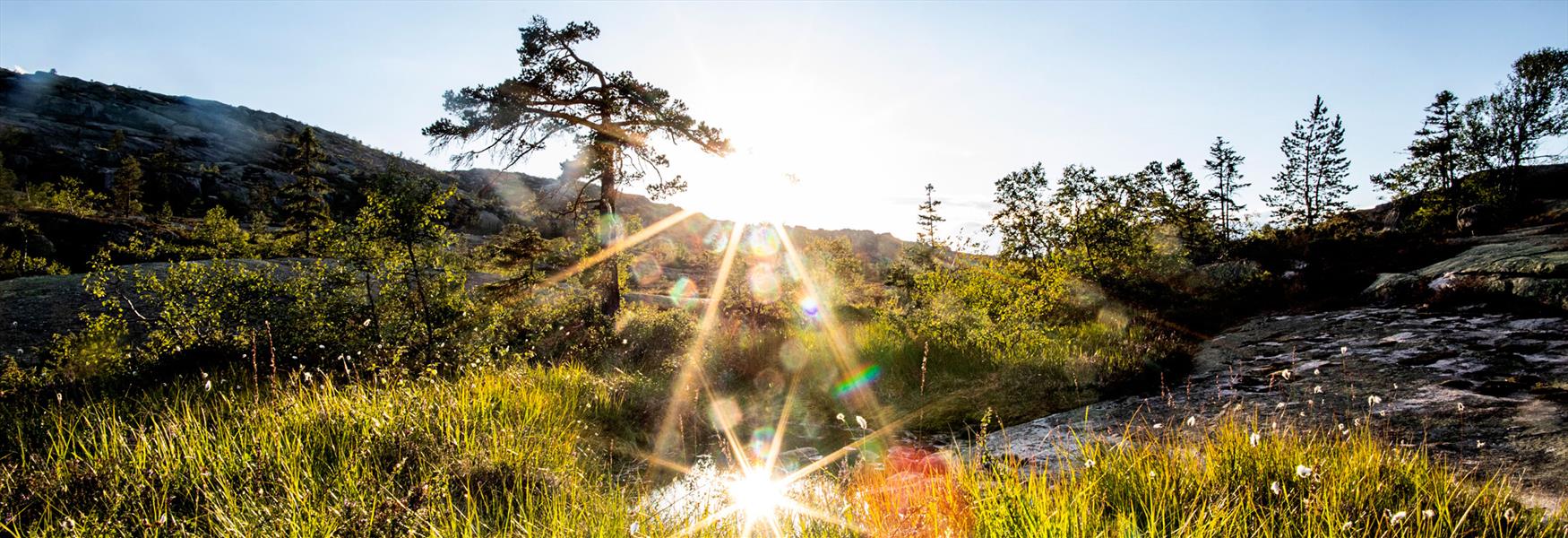 turområde i Vrådal i solskinn