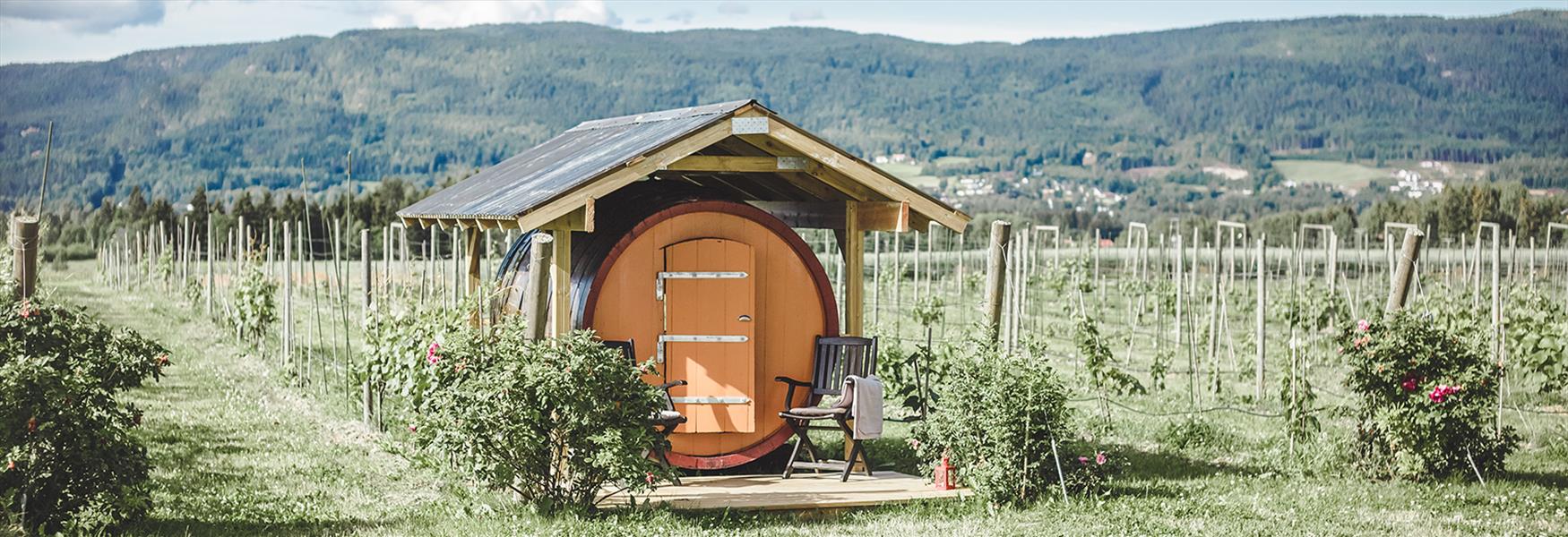 sleeping in a wine barrel at the farm Lerkekåsa