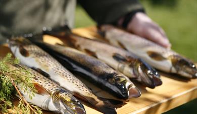 Fishing in Fyresdal