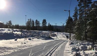 Hiking and ski activities in Siljan