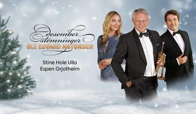 plakat til "desemberstemmning"