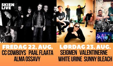 plakat til "Skien Live"
