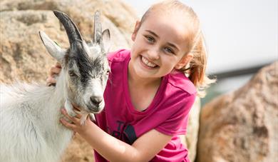 Children’s summer farm and play ground at Vierli