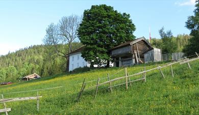 Tjønnås Ecological farm