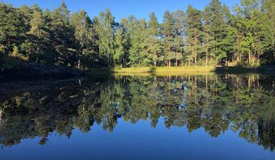 lake in Brevik