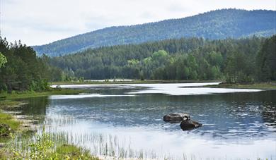 lake near Villmarkseventyret motorhome parking