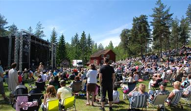 Drangedal bygdetun fullt med folk