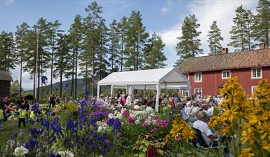Drangedalsdagen; mange mennesker ute på Drangedal bygdetun, blomster og blå himmel