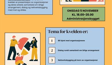 Frivillig nettverk