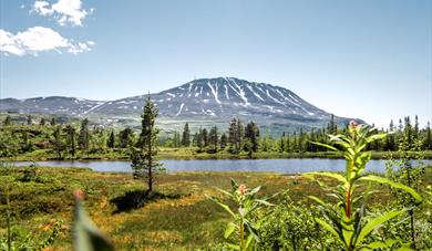 Gaustatoppen in Telemark