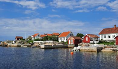 Safari in the Kragerø Archipelago