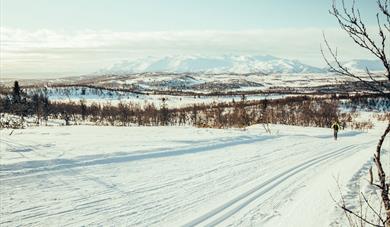 Cross-country in Rauland