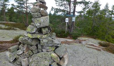 toppen av Stubbefjell