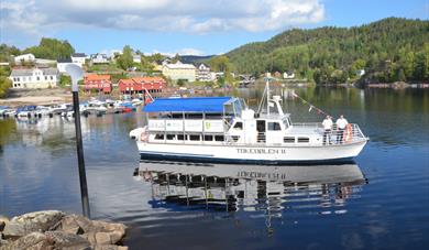 MS Tokedølen