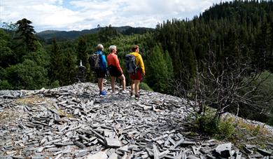 group of hikers at the top of the brynestein quarry