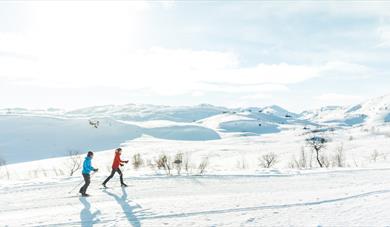2 cross-country skiing at Haukeli