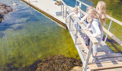 Children playing on a bridge near the water's edge