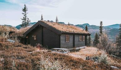 cabin at Gaustablikk Mountain Cabins and Apartments