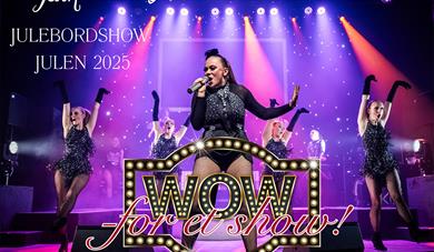 Jul p å Parkbiografen