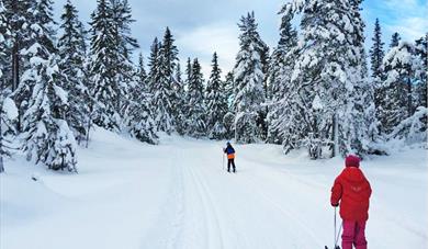 Svanstul/Luksefjell recreation Area