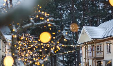 vinter i Folkestadbyen