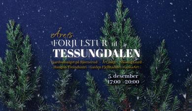 Førjulstur til Tessungdalen
