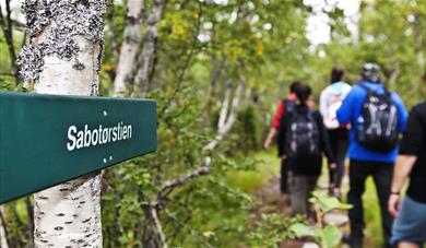 guidet tur på Sabotørstien