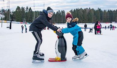 barn på skøyteisen, to som holder på en liten pigvin