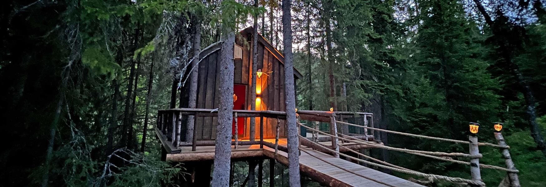hytte fra Lårdal tretopp hytter midt i skogen
