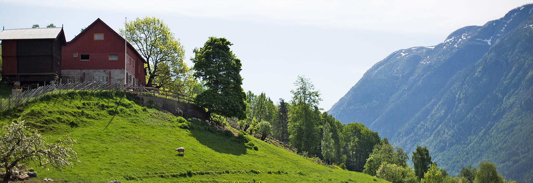 Rørtveit gård i Seljord