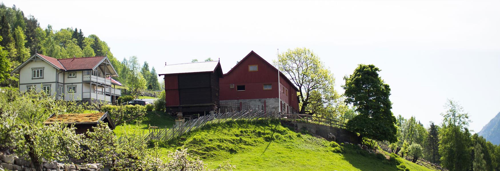 Rørtveit farm in Seljord