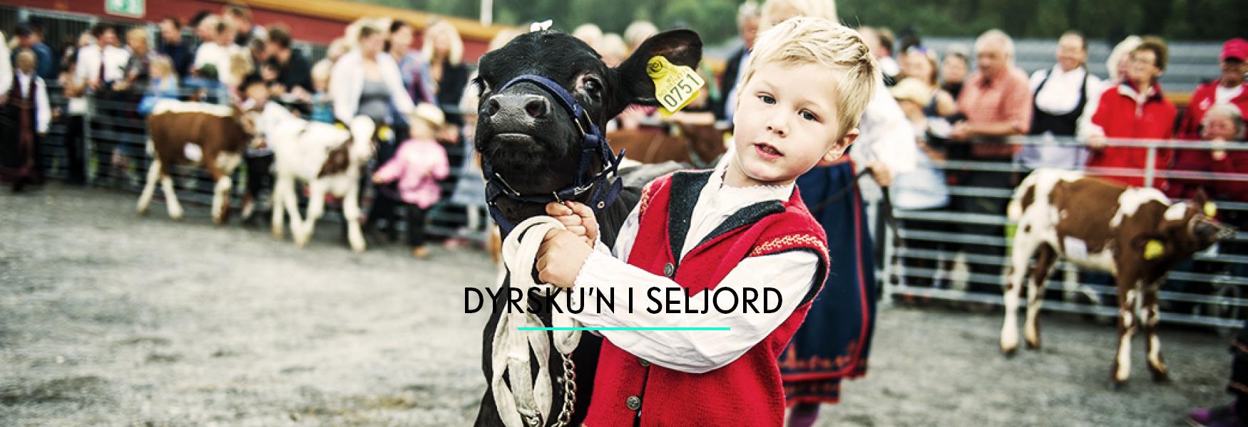 Dyrsku'n festival at Seljord
