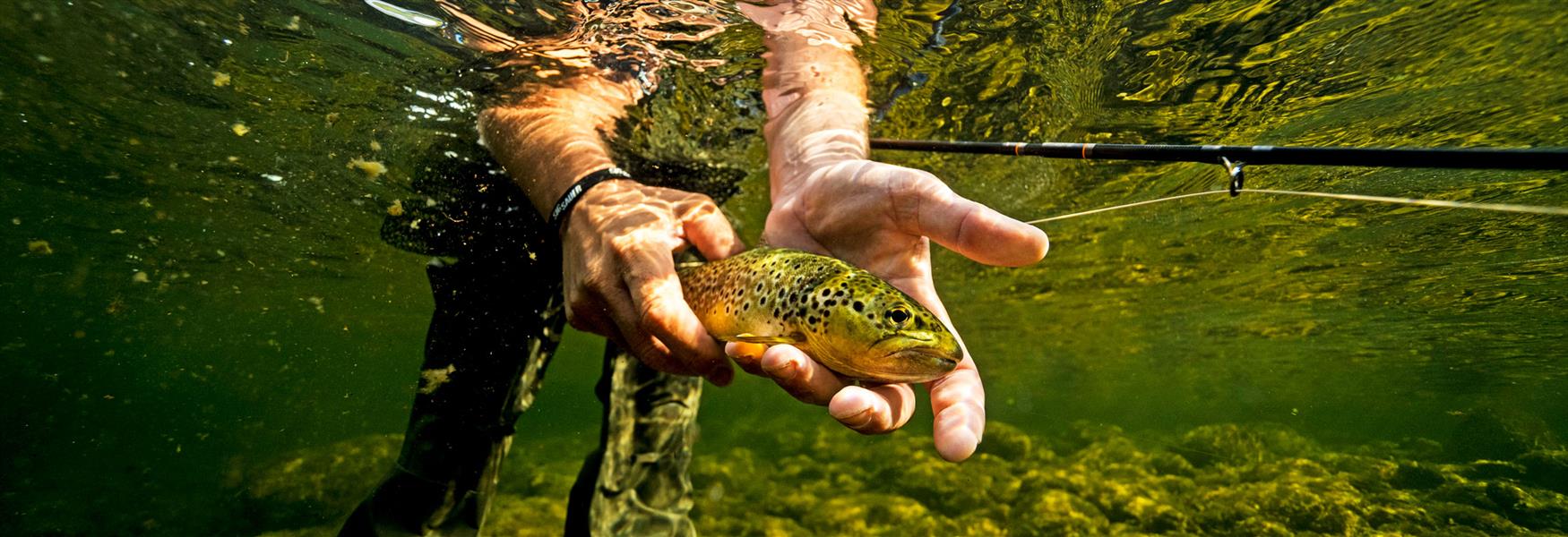 man holds a fish in his hand under water