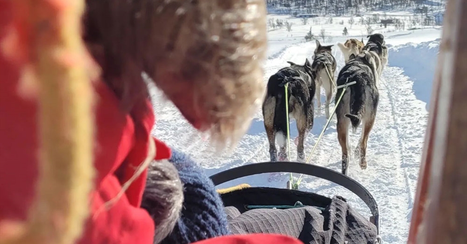 Top 10 winter activities in Telemark – Your guide to winter magic ...