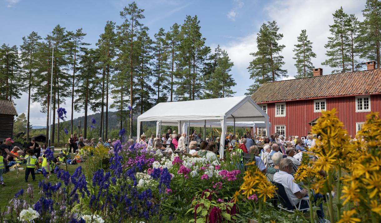 Drangedalsdagen; mange mennesker ute på Drangedal bygdetun, blomster og blå himmel